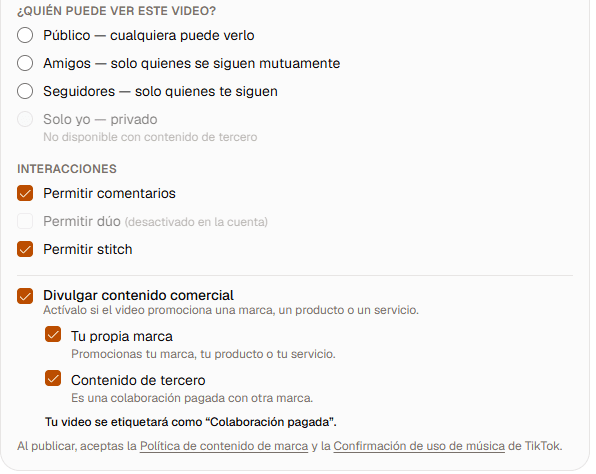 The TikTok options panel inside the dashboard. The product interface is in Spanish.